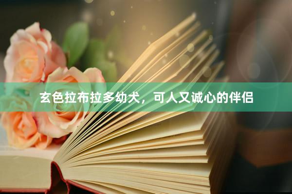 玄色拉布拉多幼犬，可人又诚心的伴侣
