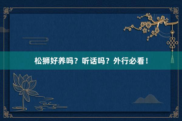 松狮好养吗？听话吗？外行必看！