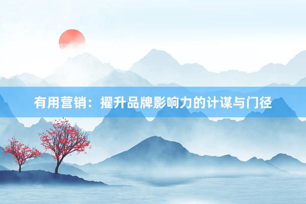有用营销：擢升品牌影响力的计谋与门径