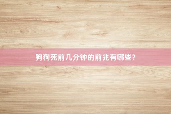 狗狗死前几分钟的前兆有哪些？